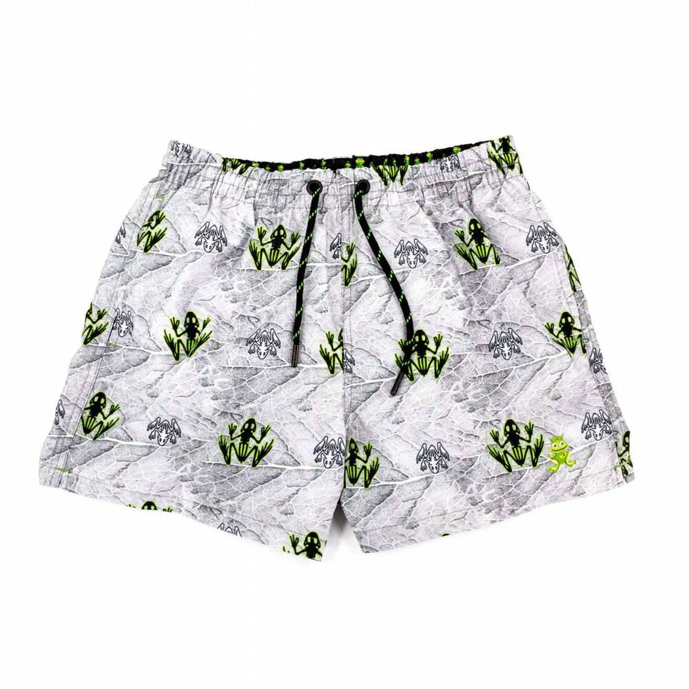 NEW EIGHT X men's kahe swim trunks in grey